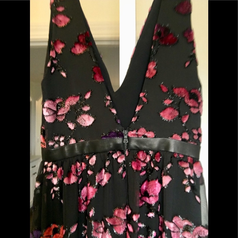 Alice and Olivia Dress/Gown